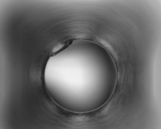 X0000089830201200707051045