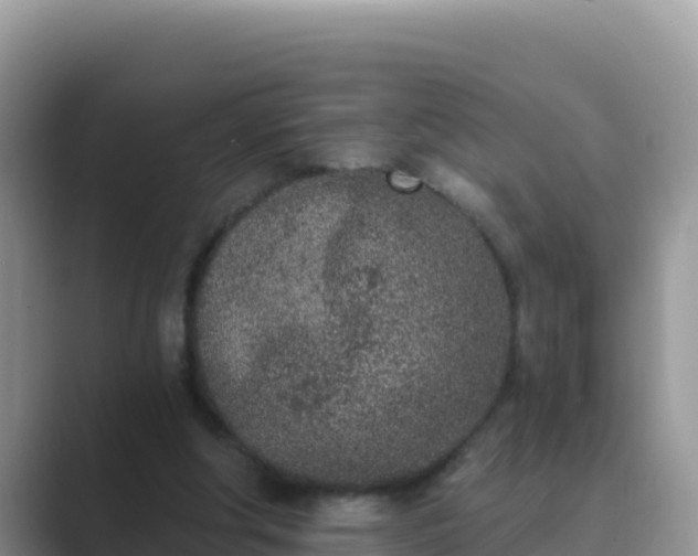 X0000089830202200707051045