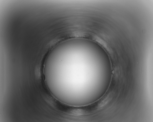 X0000089830203200707051045