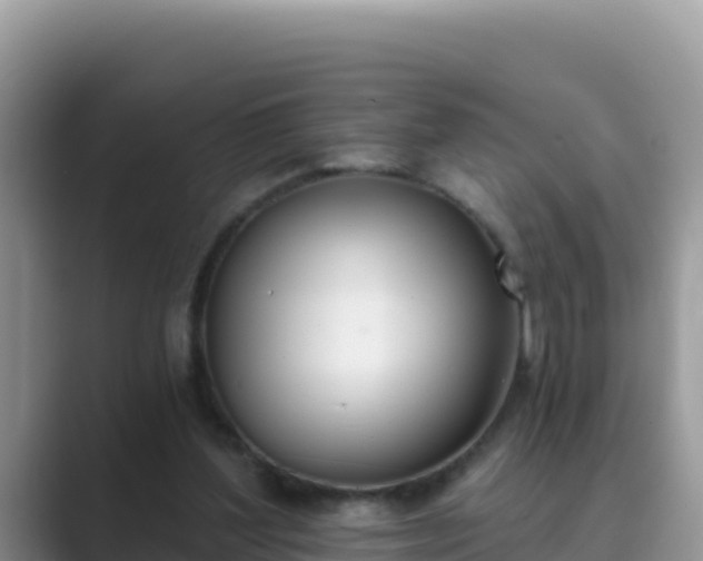 X0000089830204200707051044