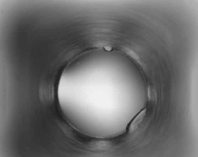 X0000089830205200707051044