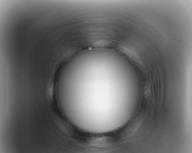 X0000089830206200707051044