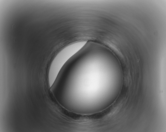 X0000089830207200707051044