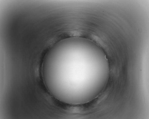 X0000089830209200707051044