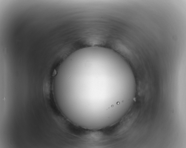 X0000089830210200707051044