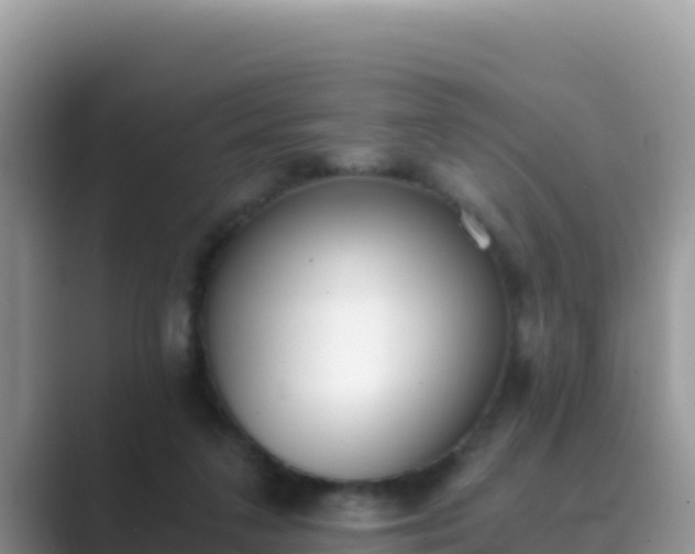 X0000089830211200707051044