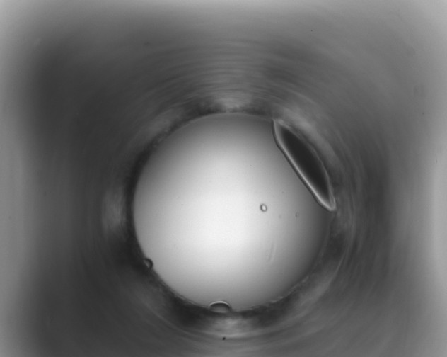 X0000089830212200707051044