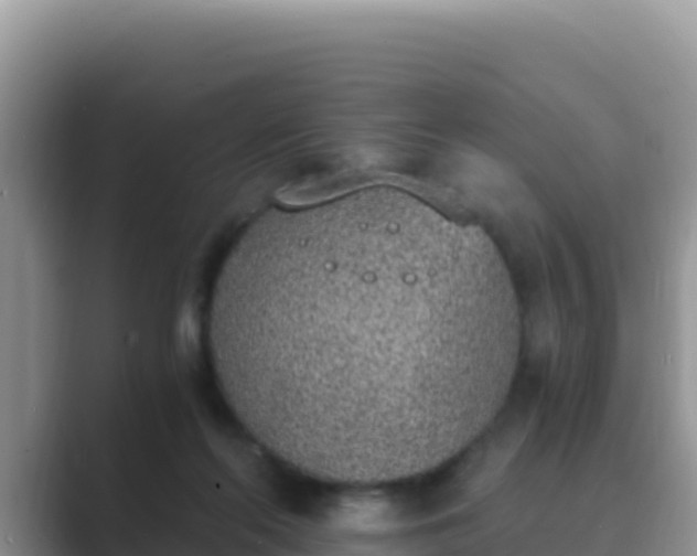 X0000089830214200707051044