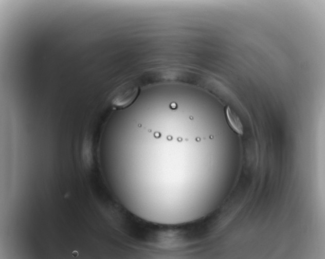 X0000089830216200707051044