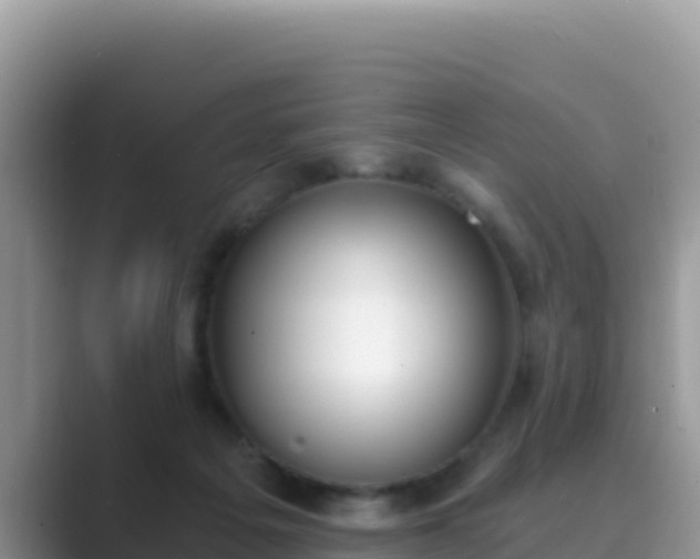 X0000089830217200707051044