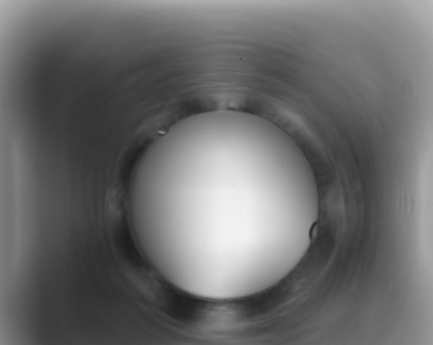 X0000089830218200707051044