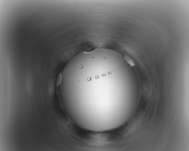 X0000089830221200707051044