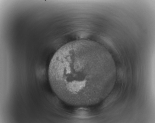 X0000089830222200707051044