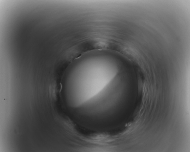 X0000089830223200707051044