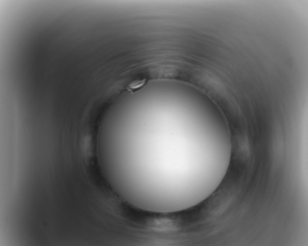 X0000089830224200707051044