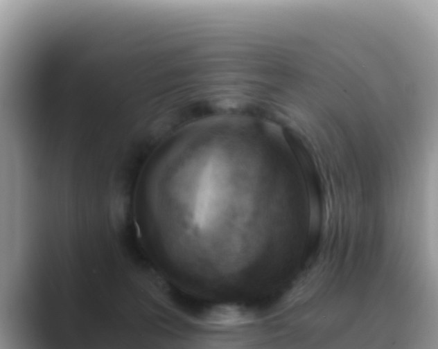 X0000089830227200707051044