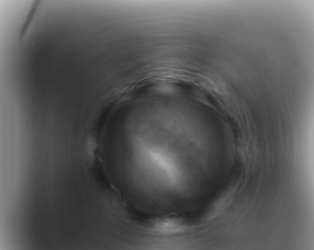 X0000089830235200707051044