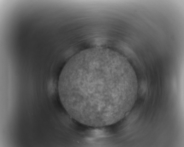 X0000089830236200707051044