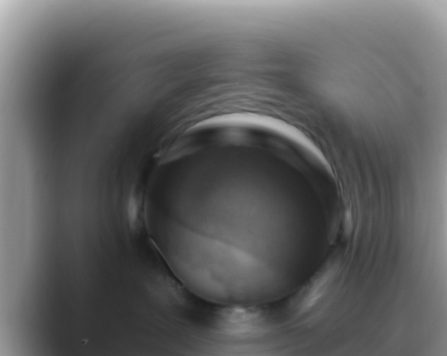 X0000089830239200707051044