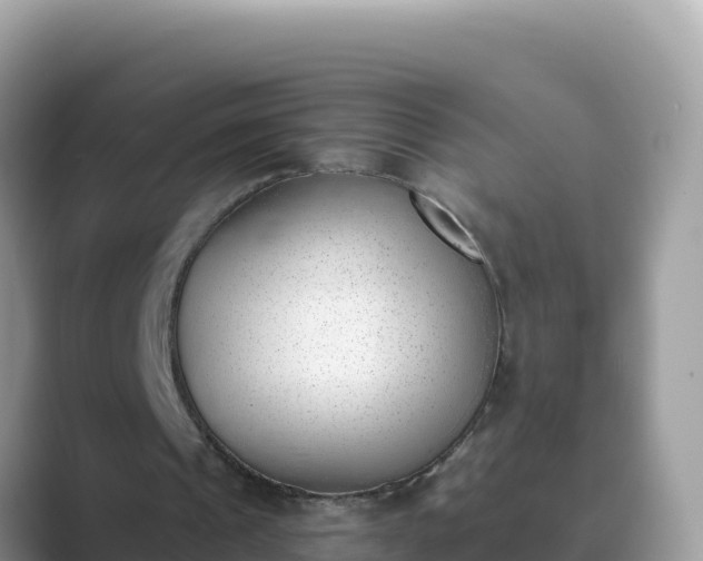 X0000089830241200707051044