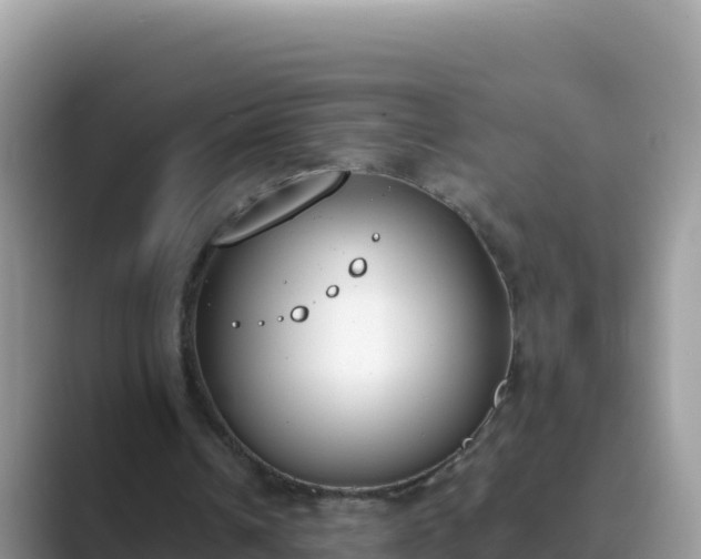 X0000089830242200707051044