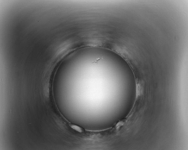 X0000089830243200707051044