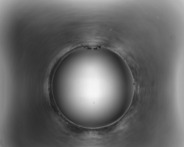 X0000089830244200707051044