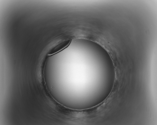 X0000089830245200707051044