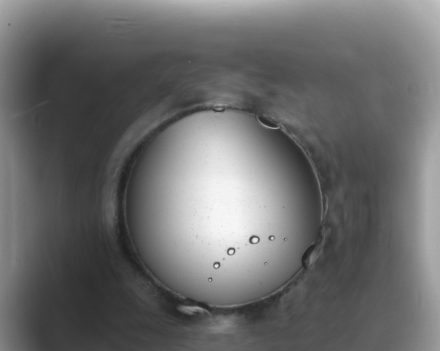 X0000089830247200707051044