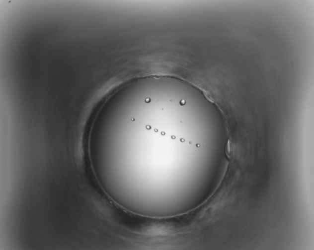 X0000089830248200707051044