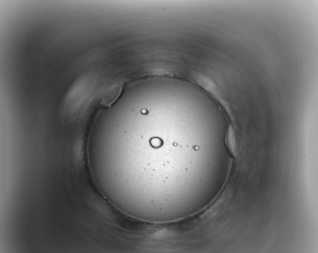 X0000089830249200707051044