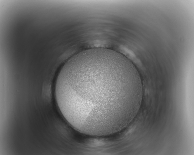 X0000089830250200707051044