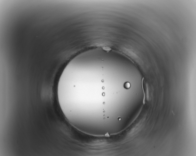 X0000089830252200707051044