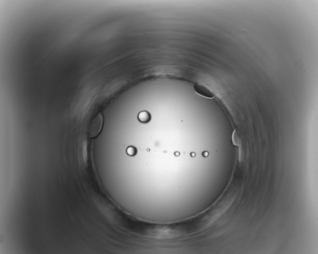 X0000089830253200707051044