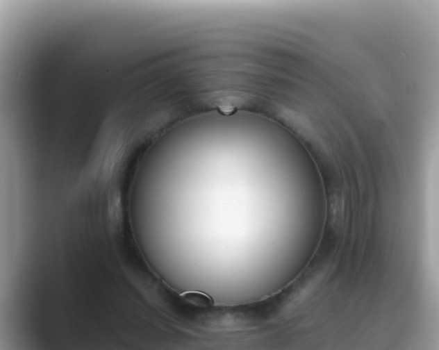 X0000089830254200707051044