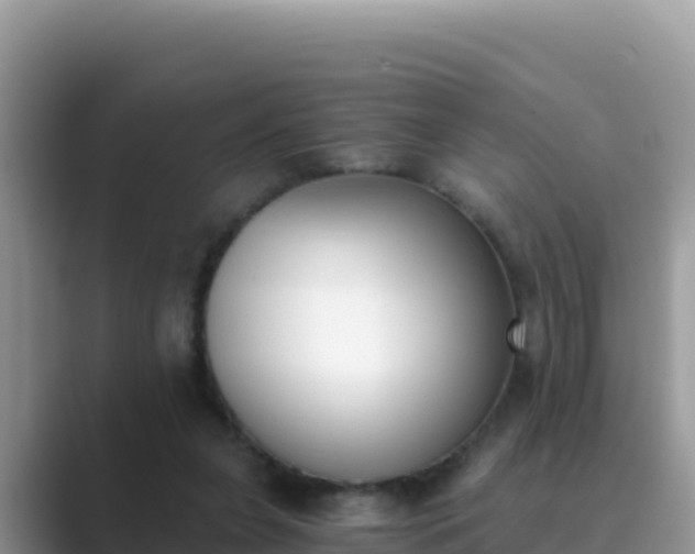 X0000089830255200707051044