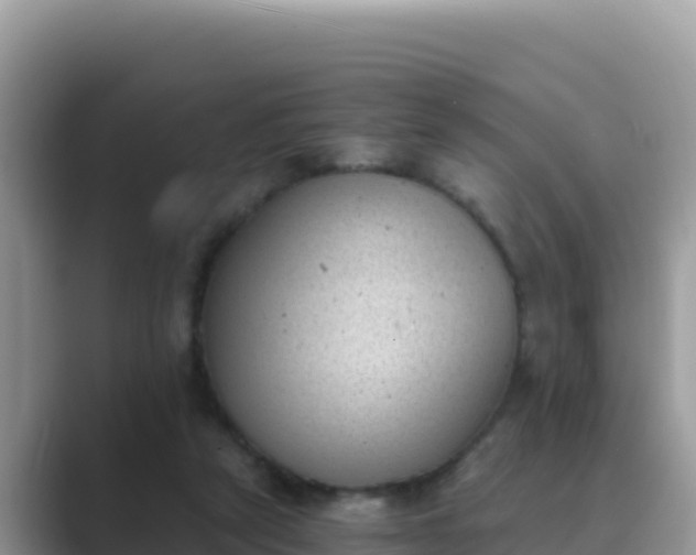 X0000089830257200707051044