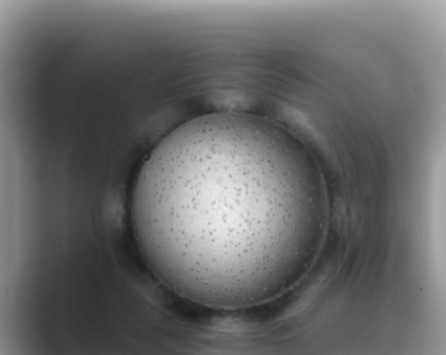 X0000089830259200707051044