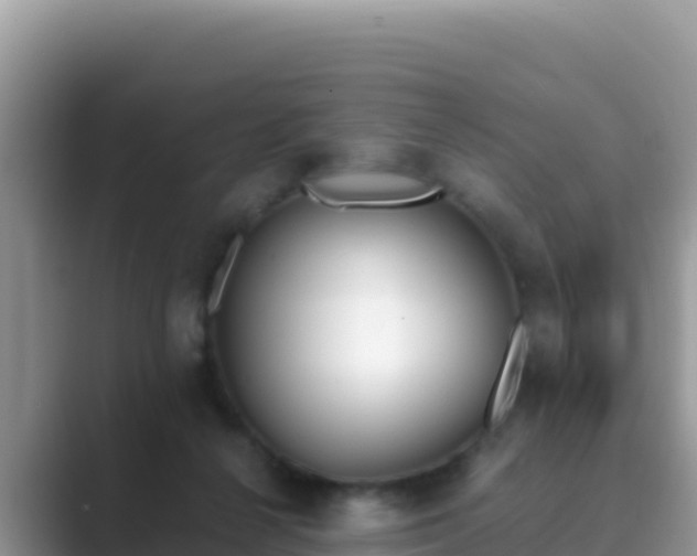 X0000089830264200707051044