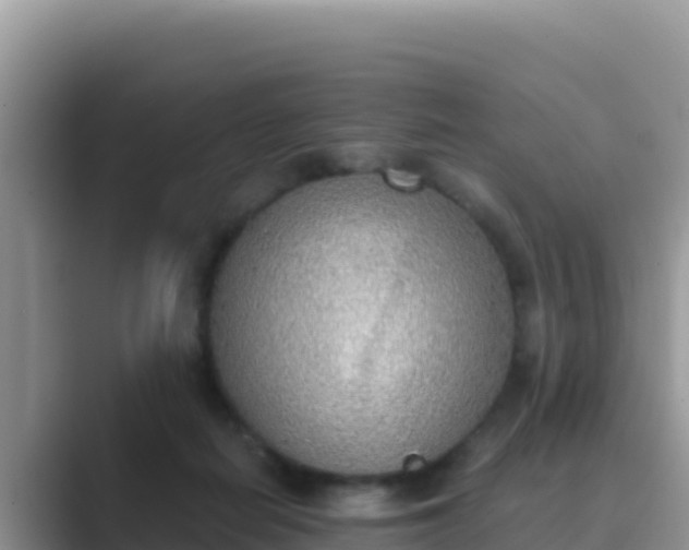 X0000089830266200707051044