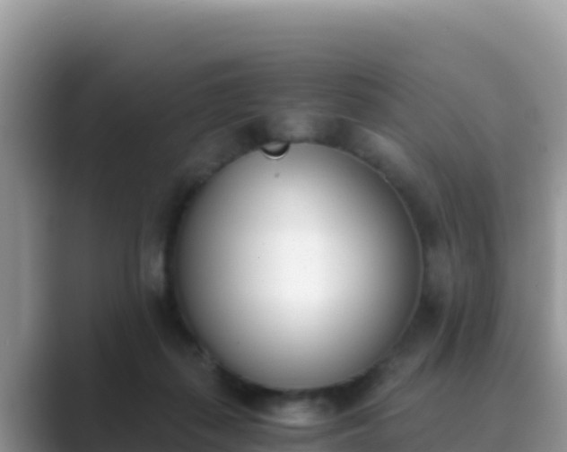 X0000089830267200707051044