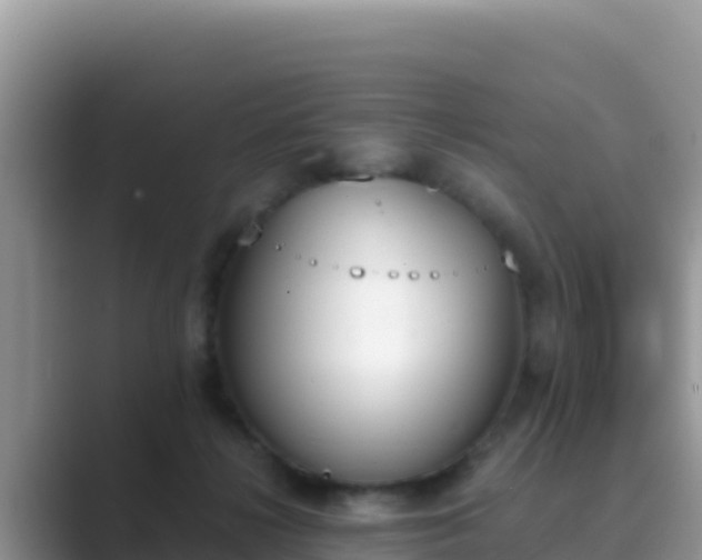 X0000089830268200707051044