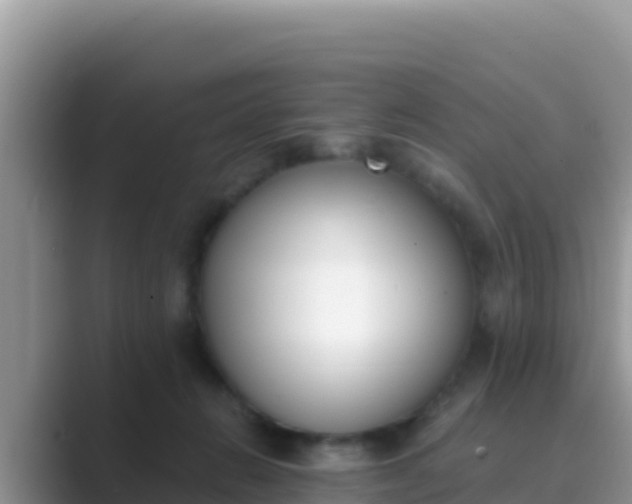 X0000089830270200707051044