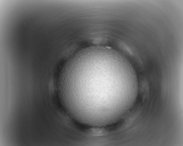 X0000089830272200707051044