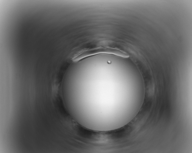 X0000089830276200707051044