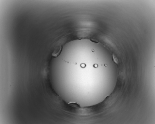 X0000089830277200707051044