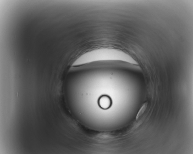 X0000089830280200707051044