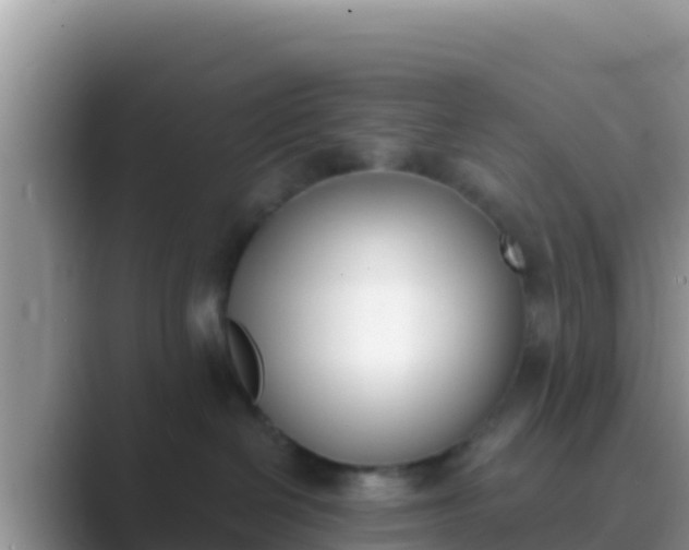 X0000089830286200707051044