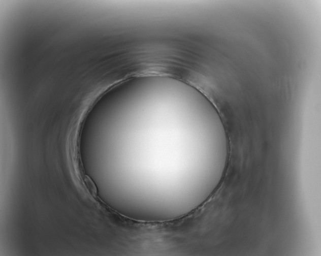 X0000089830289200707051044