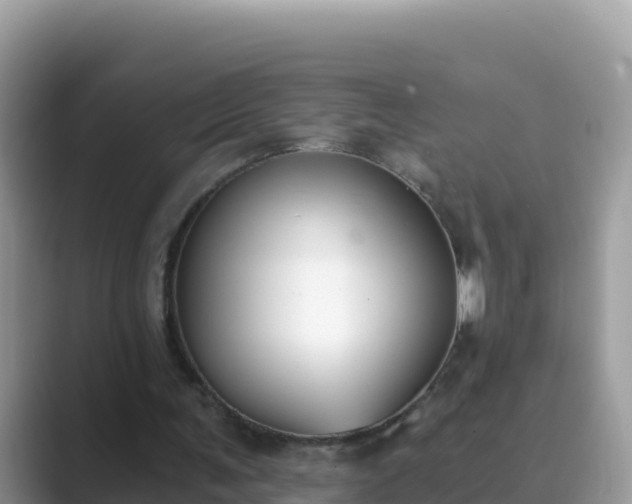 X0000089830291200707051043